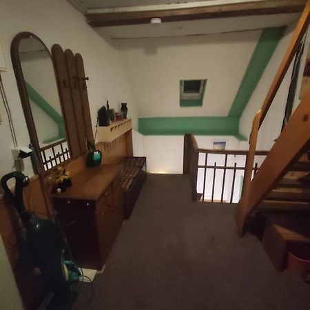Kleine Gemuetliche Wohnung Zwickau Bagian luar foto