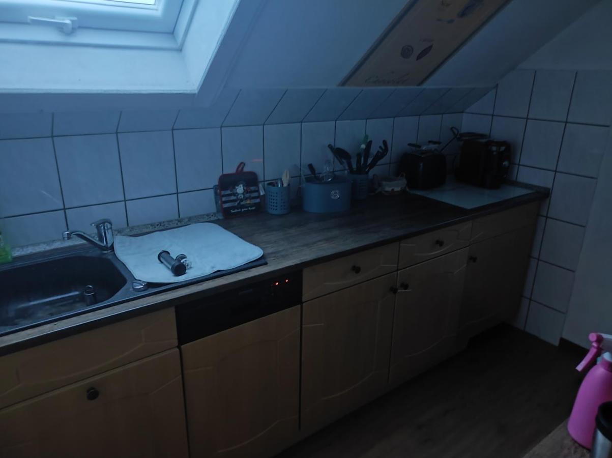 Kleine Gemuetliche Wohnung Zwickau Bagian luar foto