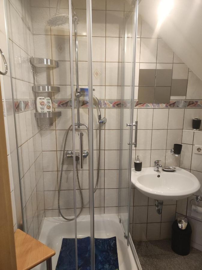 Kleine Gemuetliche Wohnung Zwickau Bagian luar foto